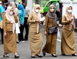 Praktis! Tanpa Ikut Seleksi CPNS, Honorer Langsung Jadi PNS Pakai Jalur Ini
