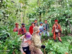 Diduga Tersesat, Pemburu Burung yang Hilang di Hutan Belum Ditemukan
