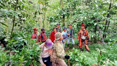 Diduga Tersesat, Pemburu Burung yang Hilang di Hutan Belum Ditemukan