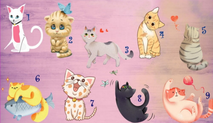 Berikut tes psikologi yang akan mengungkapkan karakter anda melalui bahasa komunikasi kucing yang dipilih pada gambar.