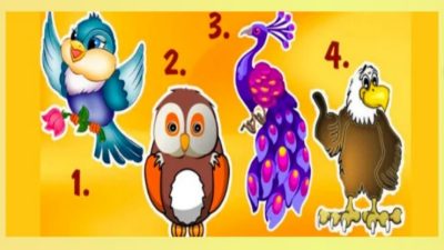 Berikut tes kepribadian yang akan mengungkapkan karakteristik anda melalui burung yang dipilih pada gambar.