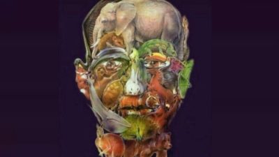 Berikut tes visual dengan temukan unta dalam gambar untuk uji analis anda.