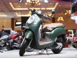 New Honda Scoopy 2023 Hadirkan 4 Tipe, yang Mana Incaranmu?