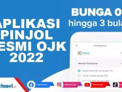 Aplikasi Pinjol Resmi, Bunga Rendah!