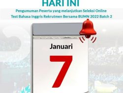 Link Pengumuman Hasil Tes TKD BUMN Batch 2 di Sini, Selamat Ya!