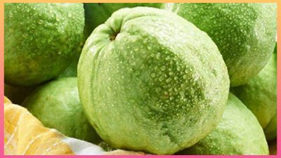 Berikut tips kesehatan yang mengulas tentang manfaat jambu biji untuk kesehatan salah satunya mempercantik tubuh.