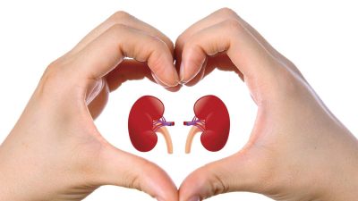 Tips Menjaga Kesehatan Ginjal