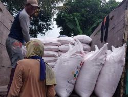 Isu Kelangkaan Pupuk Bersubsidi, Ini Penjelasan DPKP Brebes