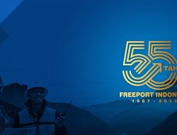 Lowongan Kerja: PT Freeport dan APP Sinarmas Buat Fresh Graduate