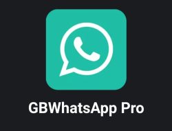 Link Download GB WhatsApp Pro v17.85.79 MB Via Mediafire Jadi Incaran