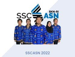 Pengumuman Hasil Seleksi PPPK Tenaga Teknis BKN Sudah Keluar, Cek di Sini ya!