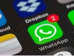 Cara Setting Whatsapp Tanpa Kuota Internet, Tetap Lancar Kirim Pesannya