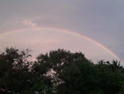 Pelangi Fenomena Alam Langka Terlihat di Langit Tegal Sore Hari