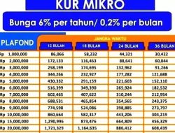 KUR BRI Tanpa Jaminan, Cuma Modal KTP Bisa Cair 50 Juta!