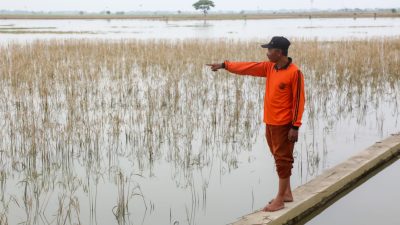 Petani Gagal Panen