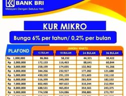 Tabel KUR BRI 2023 Bunga Hanya 0,27 Persen Angsuran Mulai Rp31 Ribu