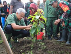 Ganjar dan Warga Tanam 15 Ribu Pohon Selamatkan Lahan Kritis di Semarang