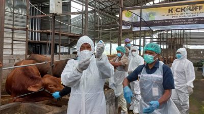 Vaksinasi 2,4 Juta Ternak di Jawa Tengah