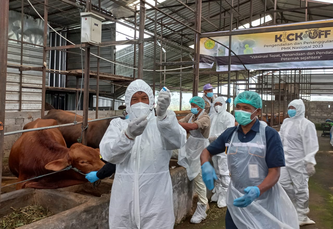 Vaksinasi 2,4 Juta Ternak di Jawa Tengah