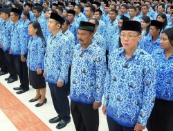 Opsi Tenaga Honorer Semua Jadi ASN Muncul, Kementerian PANRB Bilang Begini