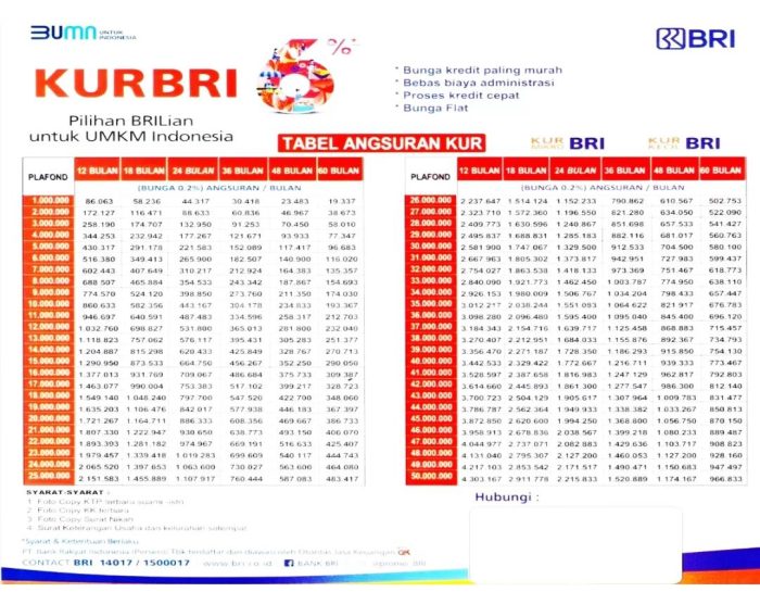 Daftar KUR BRI 2023