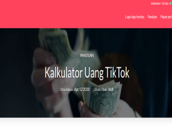 Cara Menghitung Pendapatan dari TikTok, Pakai Exolyt Aja