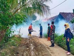 Setahun, 11 Orang di Brebes Meninggal Digigit Nyamuk
