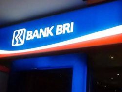 KUR BRI 2023 Kapan Dibuka? Catat Syaratnya