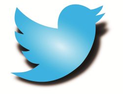 Bayar Rp164.747, Bisa Punya Twitter Blue Centang Biru