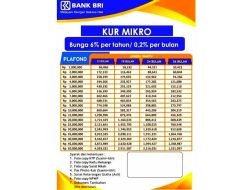 KUR BRI 2023 Buka Lagi, Kapan? Simak Lebih Lanjut