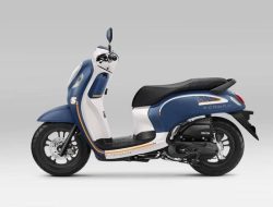 Honda Sqoopy 2023 Tampil Baru, Ini Perubahannya!