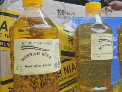 Ada yang Palsu, Begini Cara Mengenali Minyakita yang Asli