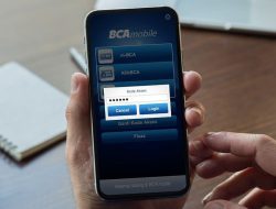 Pinjol BCA Cepat Cair dengan Pengajuan yang Mudah Melalui Aplikasi MBanking BCA