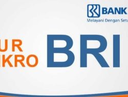 Pinjaman KUR BRI  Kembali Dibuka! Cek Persyaratan KUR 2023