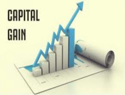 Sumber Keuntungan Investasi Saham  Di Pasar Modal, Investor Peroleh Capital Gain dan Dividen