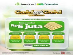 Harga Emas Turun Lagi, Efek dari Sentimen Hawkish  Ped dan  Saatnya Mulai Investasi Logam Mulia Lagi