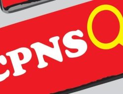 Fix! Ini Formasi CPNS 2023 untuk Lulusan SMA dan SMK