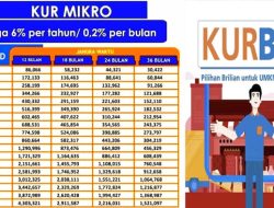 Persyaratan KUR BRI 2023 Terbaru, BPJS Wajib!