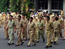 Tes Seleksi CPNS 2023 Dibuka Juni Nanti, Pemerintah Siapkan 1 Juta Formasi