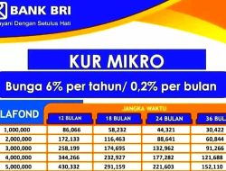 Tabel KUR BRI 2022, Cair Hingga Rp 50 Juta dengan 3 Program yang Menguntungkan