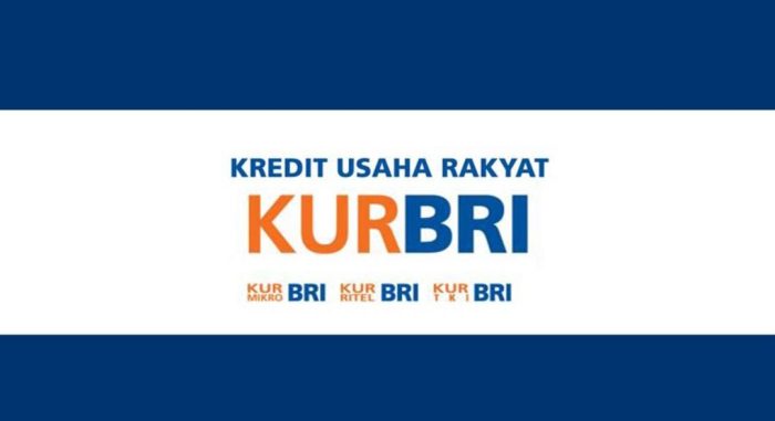 Pinjaman KUR BRI