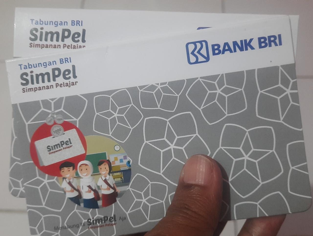 Bantuan PIP
