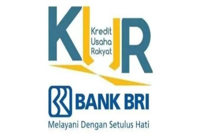 Kredit Usaha Rakyat (KUR)