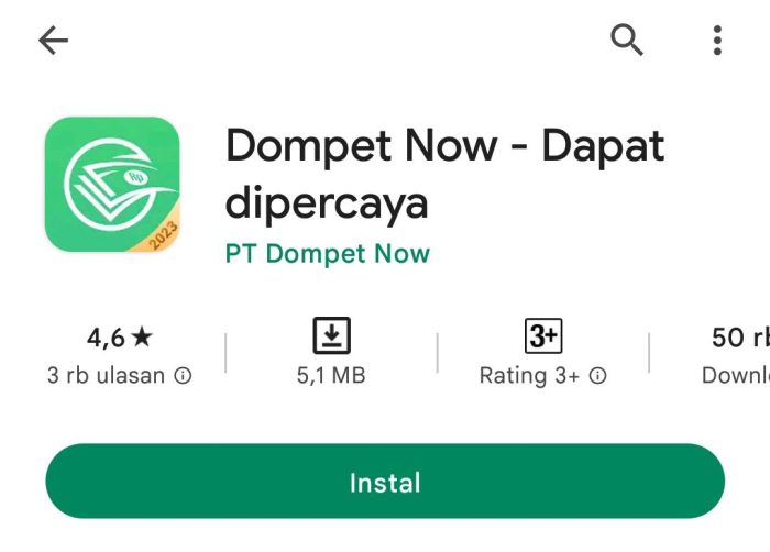pinjaman online