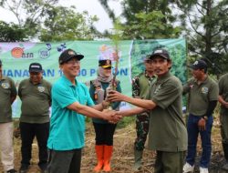 Perluas Tutupan Lahan dengan Tanam 15 Ribu Bibit Pohon Pinus