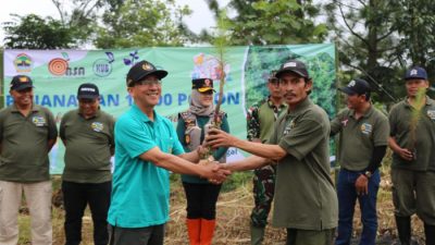 Bibit Pohon
