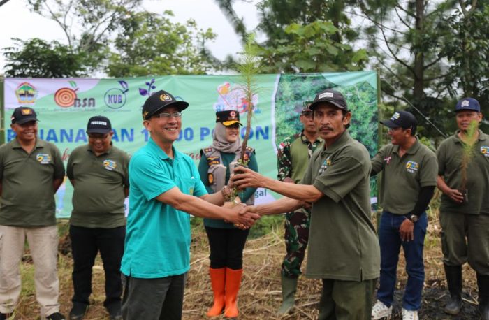 Bibit Pohon