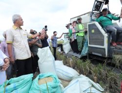 Ganjar Ajak Petani Milenial Genjot Produktivitas Padi di Jateng