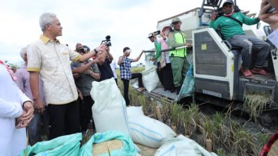 Produktivitas padi di Jateng