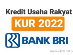 Mau Ajukan KUR BRI 2023? Simak Syarat dan Jenisnya Berikut Ini
